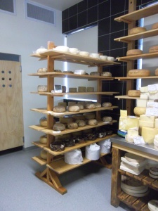 A shelf of aging cheese. The top shelf haven't grown rinds yet. We got ours from the fifth shelf down.