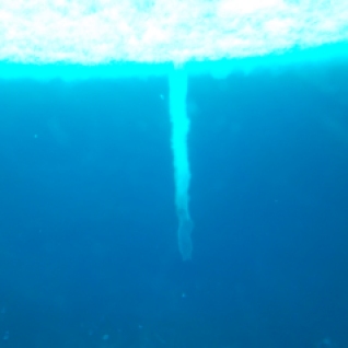 Below the sea ice. There were stalactite-looking crystals jutting downward from the surface.